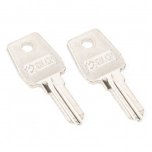 2x Renz Eurolocks Schlüssel für Briefkasten 2001-4000, B0001-B1000, C0001-C1000